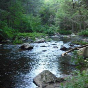 A view of the Eight Mile River