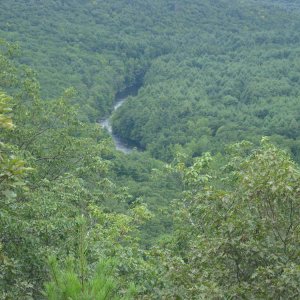 Shot of the Farmington River from a high lookout in People's State Forest