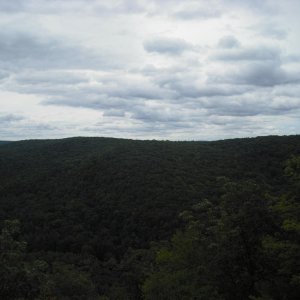 A view from a low lookout in People's State Forest