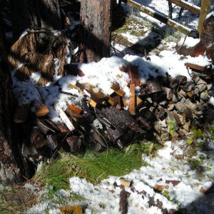 Wood pile pic #2