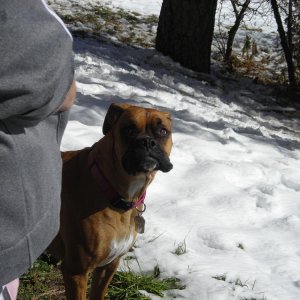 A good shot of Zoey. Ignore my mother standing in the way plzkthx.