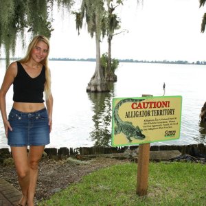 Watch out for the Gators