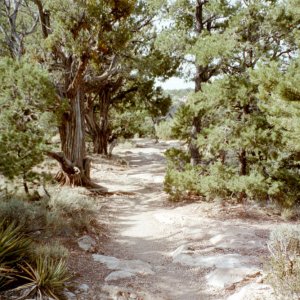 Beginning of the South Rim Trail, Grand Canyon, AZ