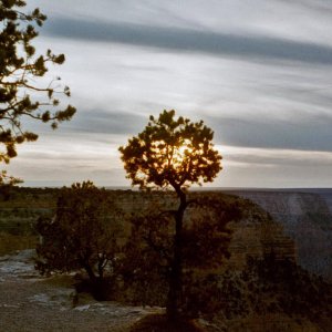 Sunset near Hermit's Rest