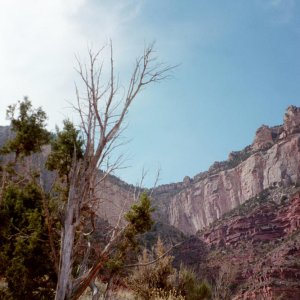 View of the canyon rim from between the one and three mile areas of Bright Angel Trail