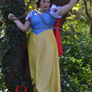 Snow White tied to a tree by the Evil Huntsman. Please be sure to check out the site in the watermark.