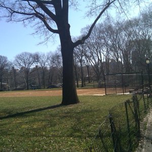 softball field