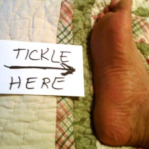 Tickle Here 1