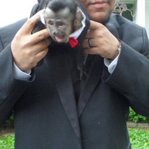 me and my monkey Tucker