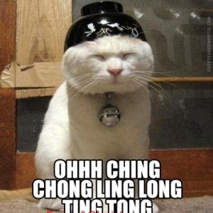 funny pictures ohh ching chong