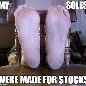 stocks