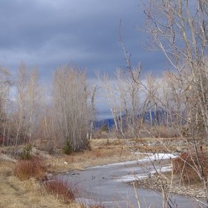 DSC08307 - Always liked how calm this picture is. Took in while on a trail ride.