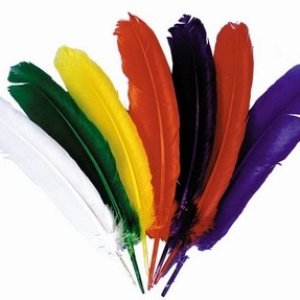 So Many Feathers to tickle everyone on TMF with.   Which one do you choose?