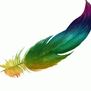 colourful feather!