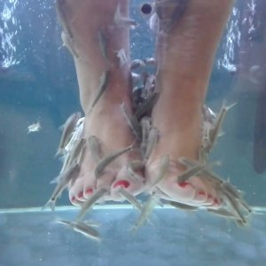 Media 'VID_20170915_195431.jpg' in album 'Me laughing while having a "fishing" feet pedicure!'