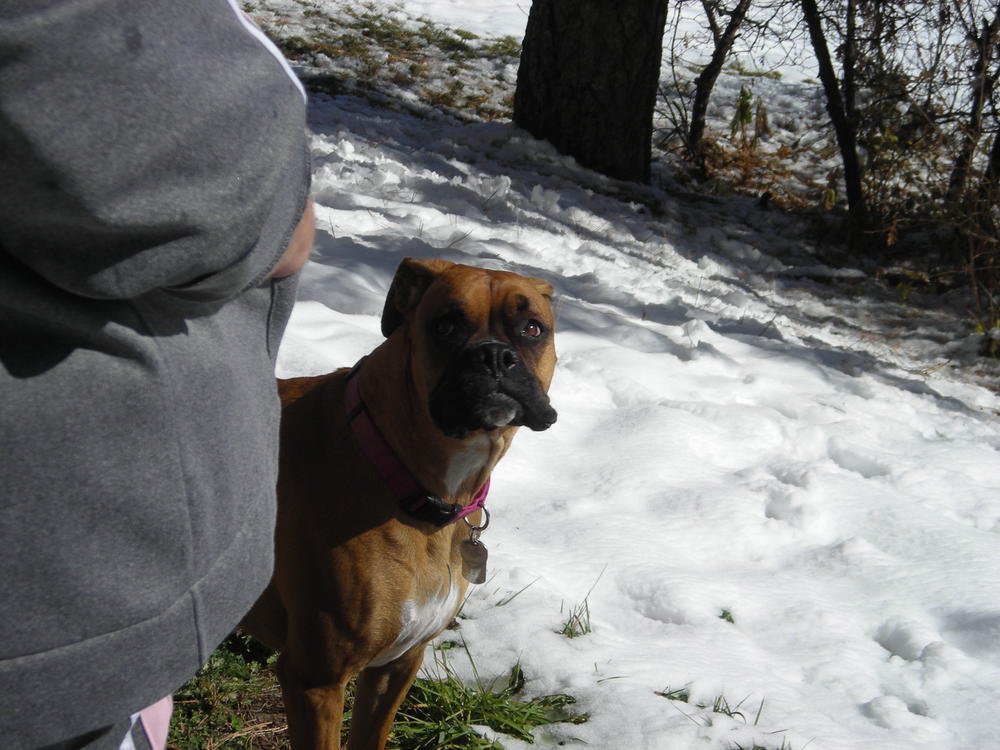 A good shot of Zoey. Ignore my mother standing in the way plzkthx.