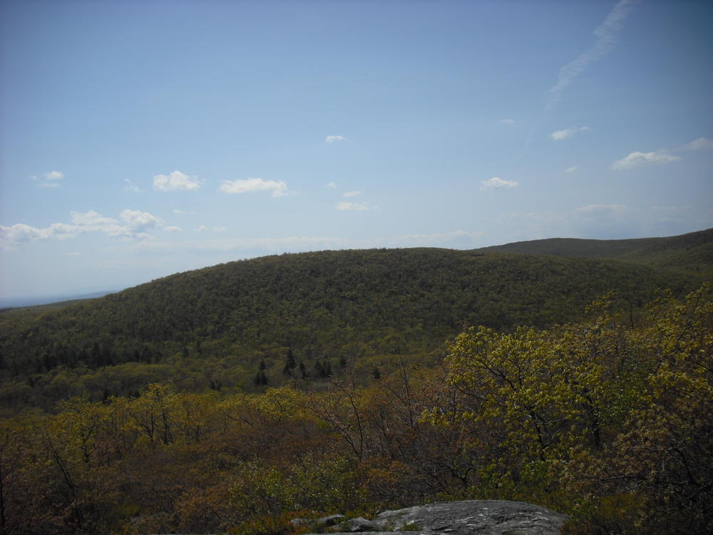 A ledge on the way up to the summit of Bear Mountain