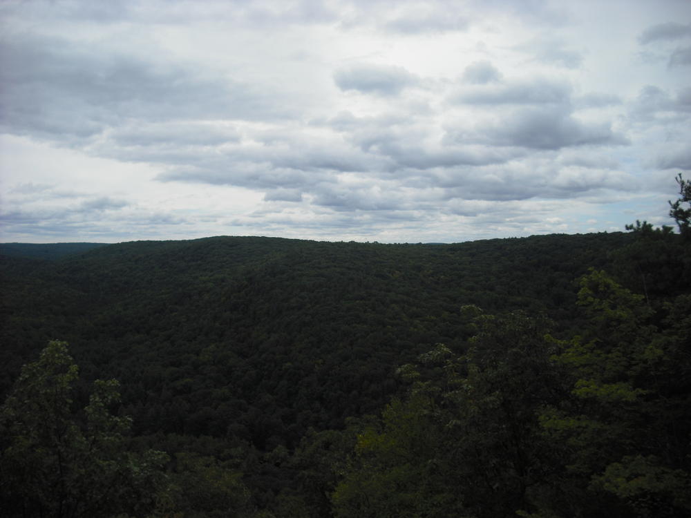 A view from a low lookout in People's State Forest