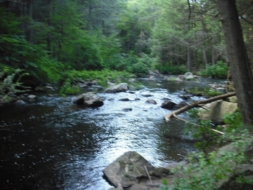 A view of the Eight Mile River