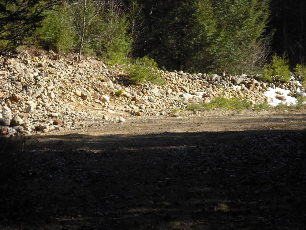 An interesting clearing along the flat part of an easy trail