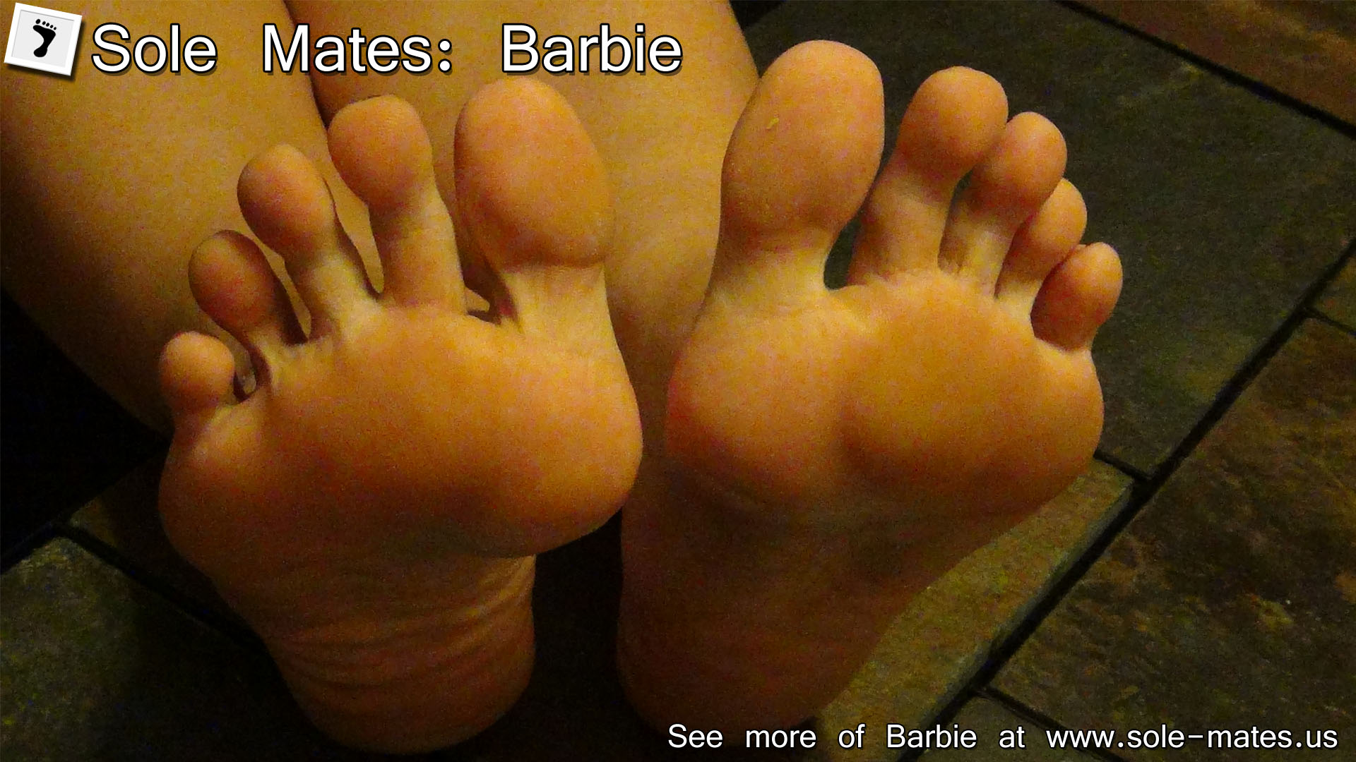 Barbie 42