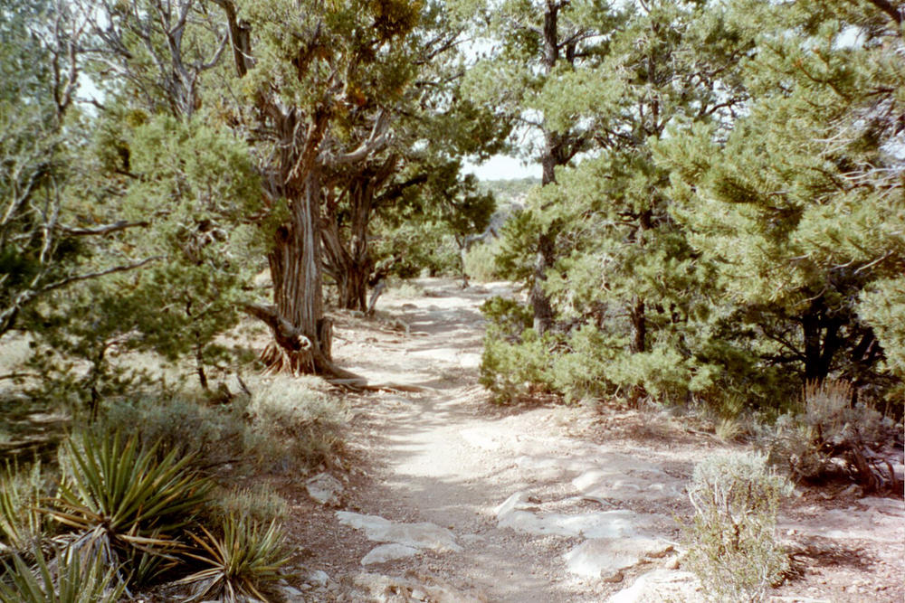 Beginning of the South Rim Trail, Grand Canyon, AZ