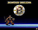 Boston Bruins North East Division Champions 2008-2009