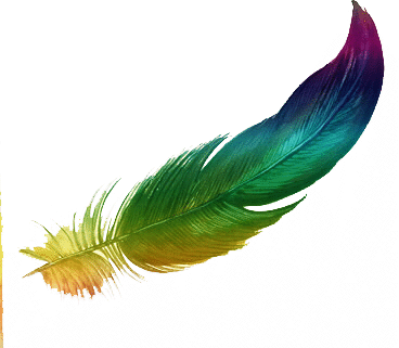 colourful feather!