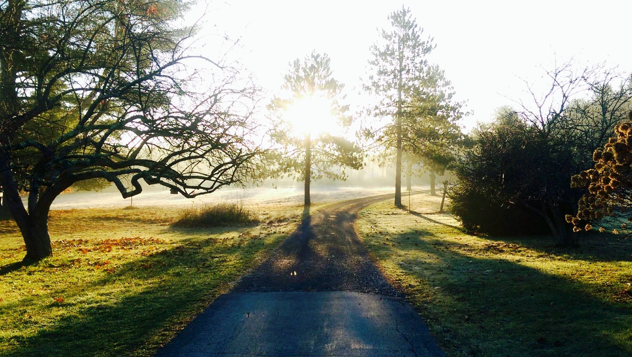 driveway