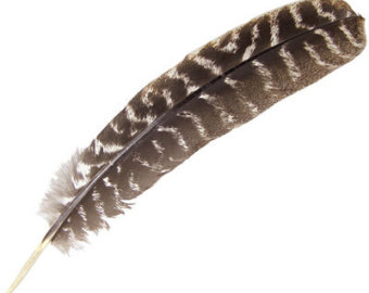 feather