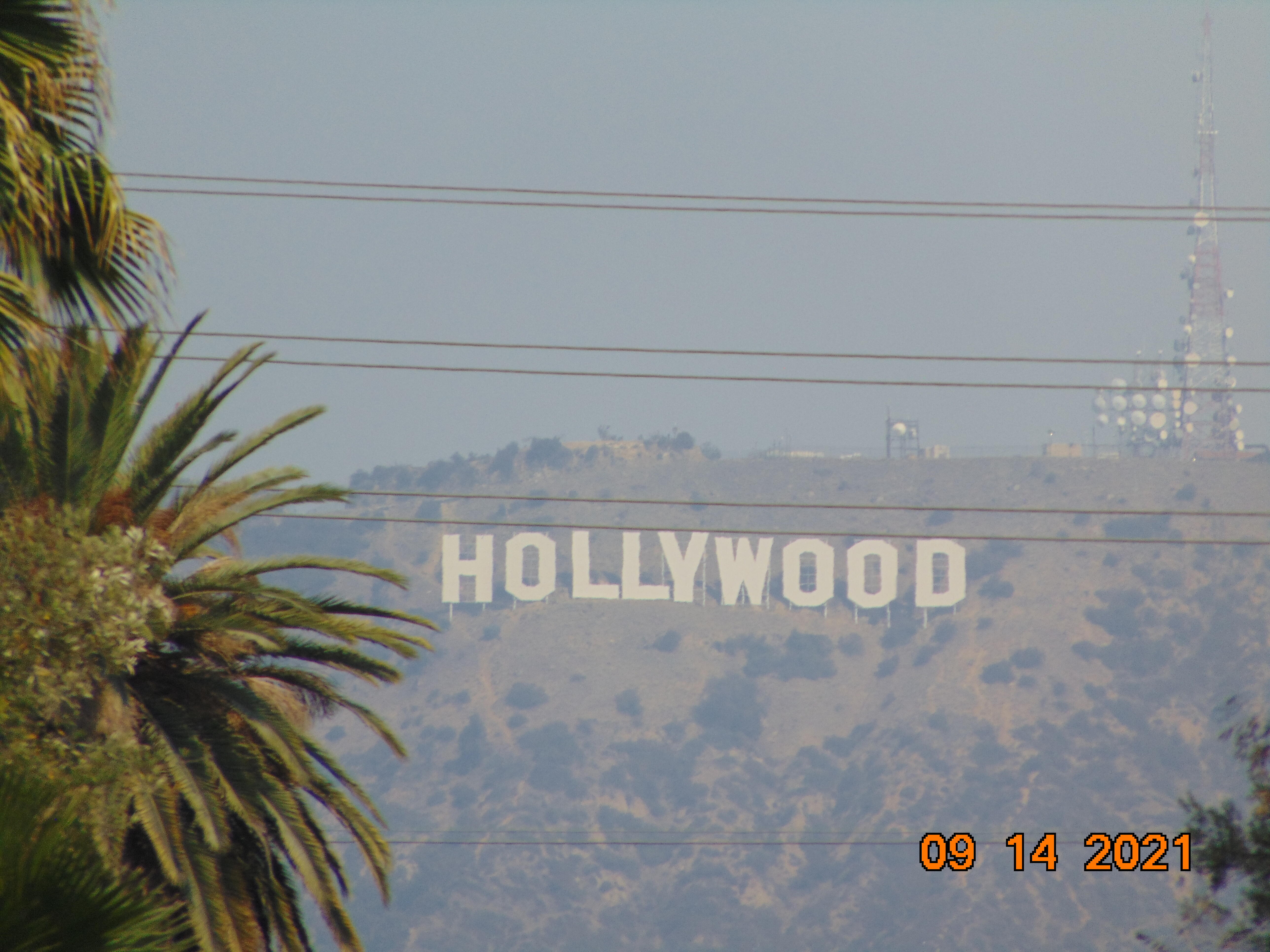 HOLLYWOOD