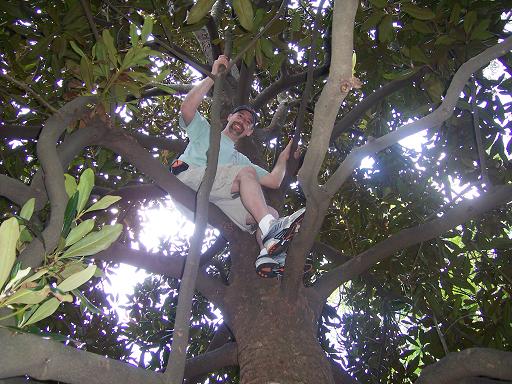 Me - Up in a big magnolia tree - no tickling while tree climbing please...