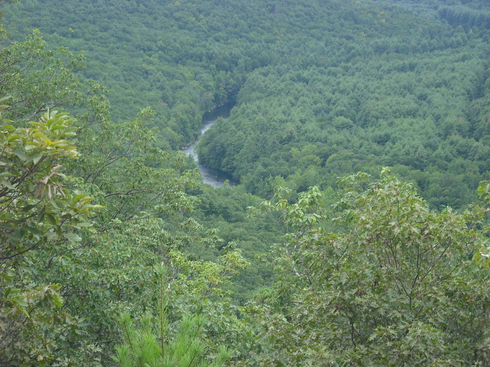 Shot of the Farmington River from a high lookout in People's State Forest