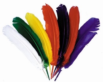 So Many Feathers to tickle everyone on TMF with.   Which one do you choose?