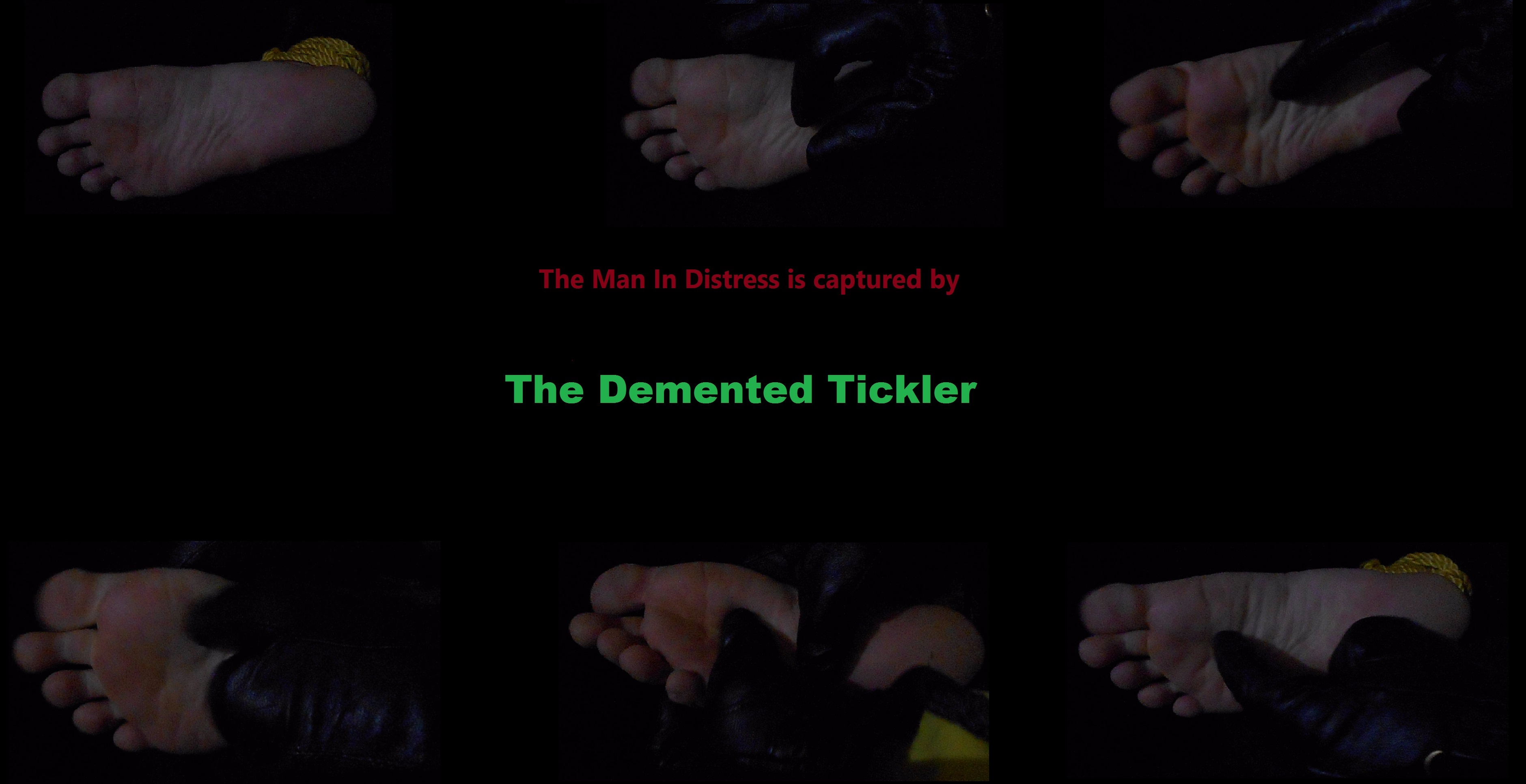 The Demented Tickler