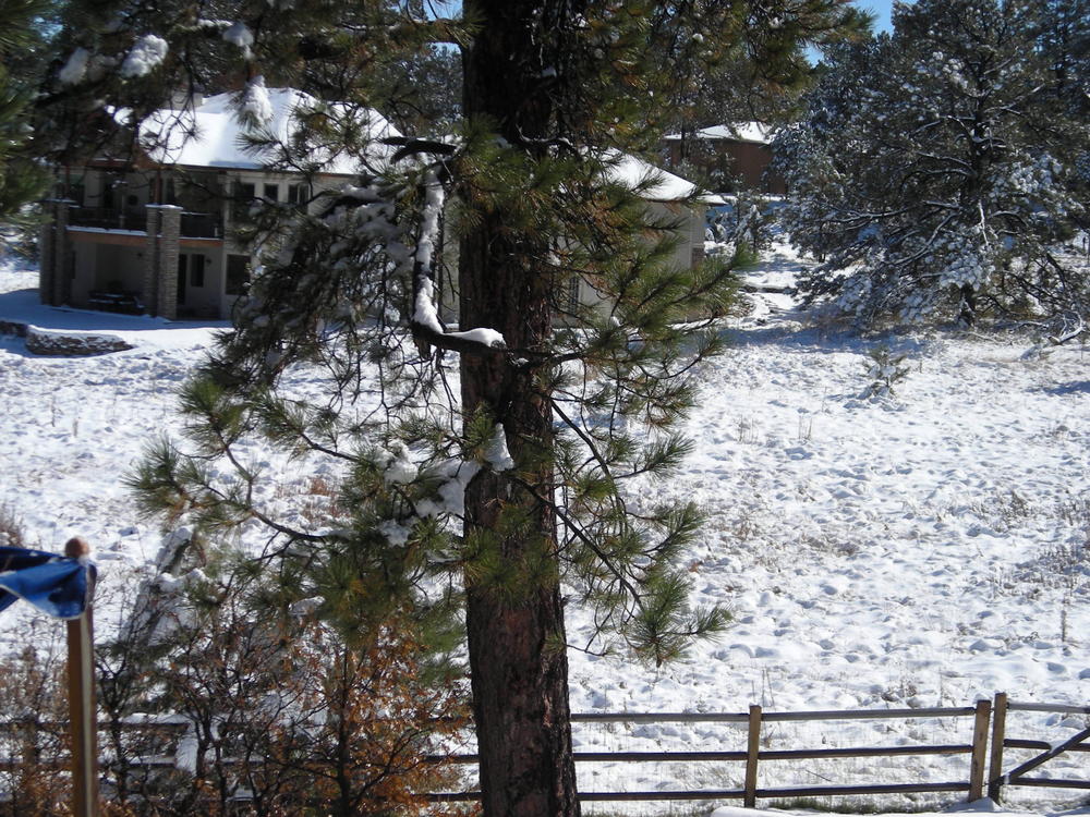 View from the backyard.