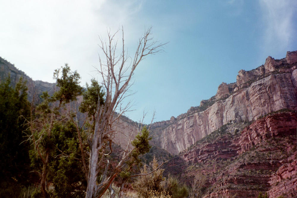 View of the canyon rim from between the one and three mile areas of Bright Angel Trail