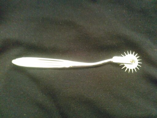 wartenberg pinwheel