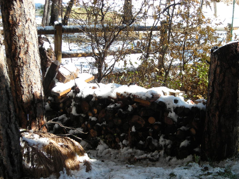 Wood pile covered in snow.