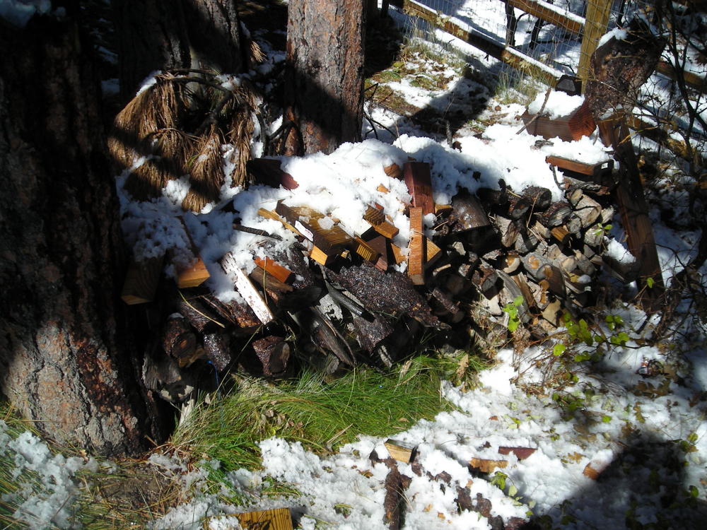 Wood pile pic #2