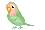:parrot1: