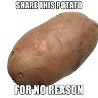 Share-this-potato-for-no-reason_zps0e4fe29e.jpg