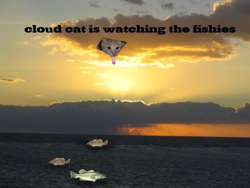 cloudcat.jpg