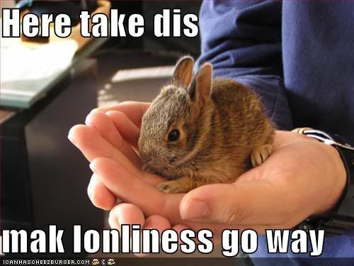 funny-pictures-bunny-takes-loneline.jpg