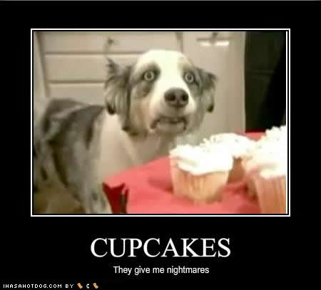 funny-dog-pictures-cupcakes.jpg