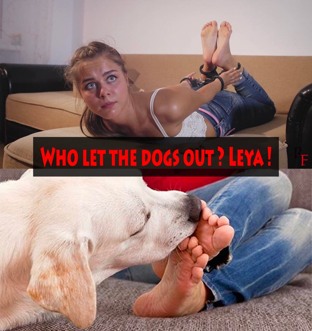 leyadogs.jpg